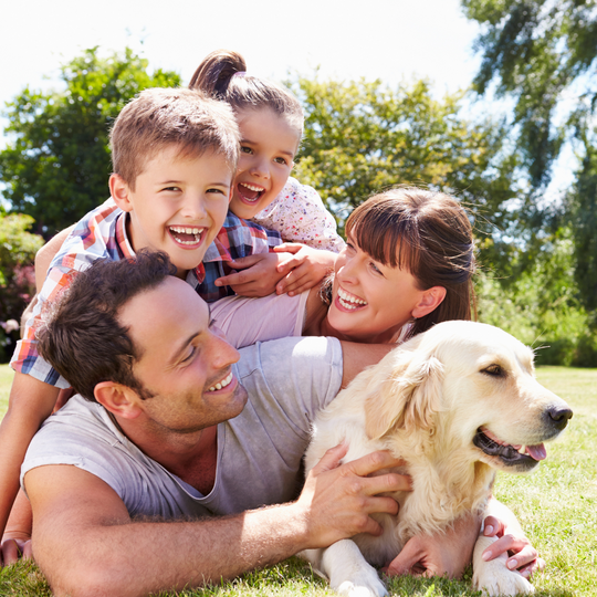 How can I help my anxious pet the natural way?