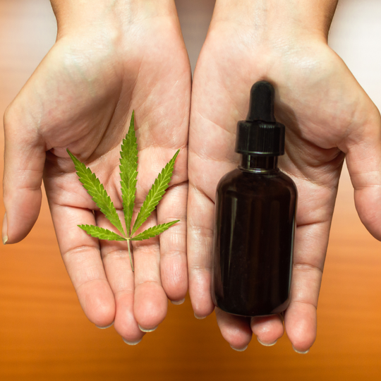 Exploring the Synergy: Beta-Caryophyllene and CBD