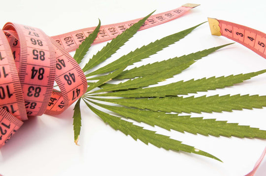 Hemp Oil and Weight Loss: Does It Work?