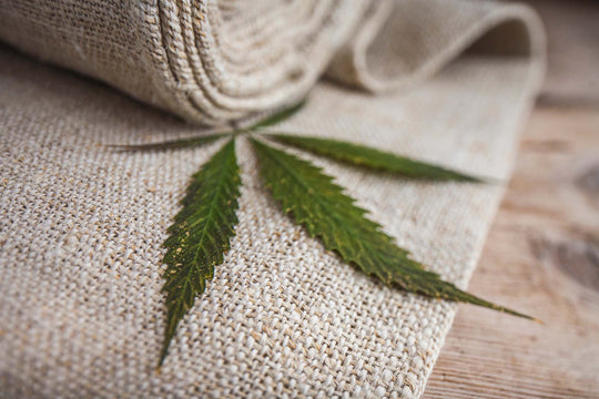 10 Reasons Hemp Textiles Are Better for You and the Planet