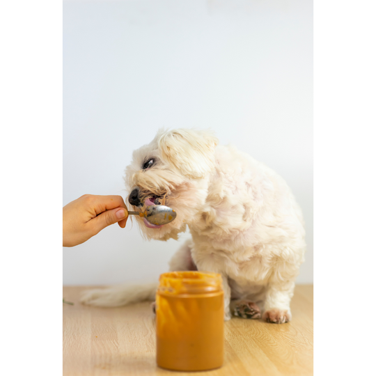 Is Peanut Butter Safe for Dogs? A Guide for Pet Owners