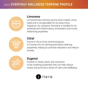 your Everyday Wellness Pack