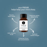 your FOCUS