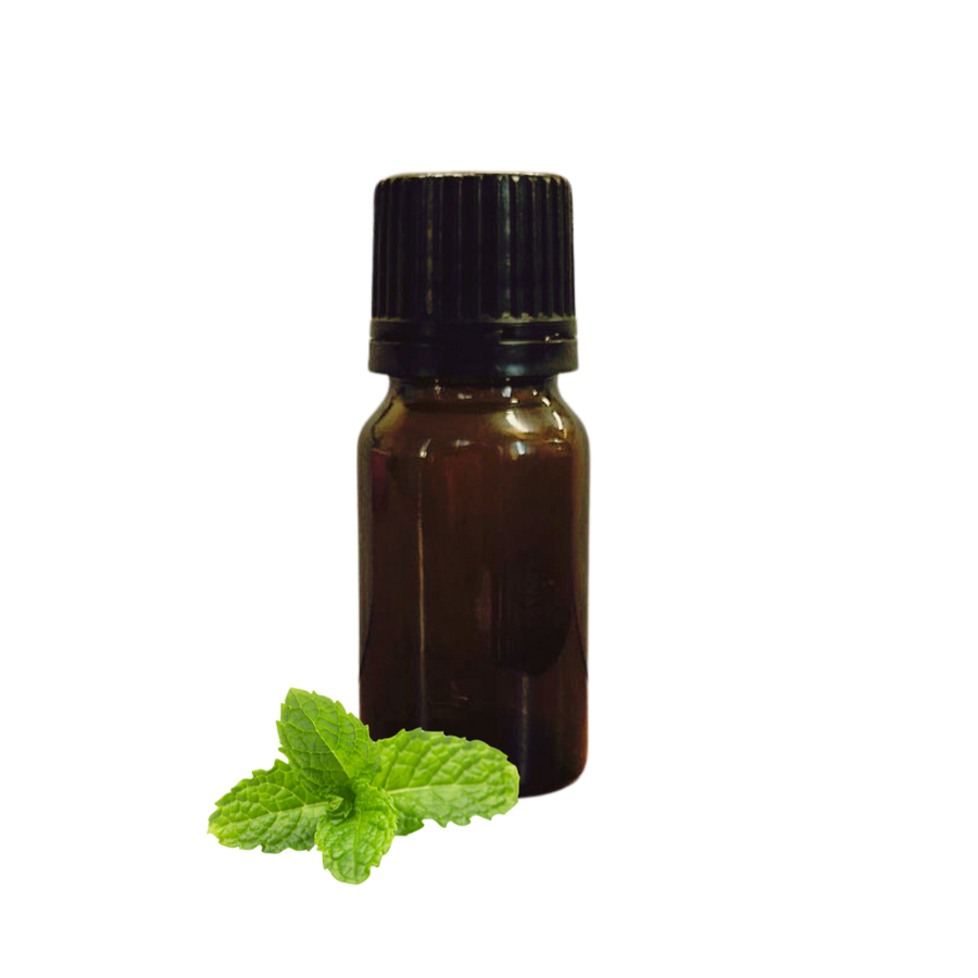 Menthol Flavour Concentrate Natural Oil Soluble